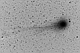 Kometa C/2014 Q2 Lovejoy. Negatyw, na którym lepiej wydobyto złożoną strukturę warkocza gazowego. Parametry: 2015.02.07. 18:35-18:40CSE. Reflektor Newtona 205/907 + MPCC + N.D300, w ognisku głównym. Exp. 2x110sek. ISO1600.    