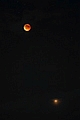 Zaćmiony Księżyc w koniunkcji z Marsem w Wielkiej Opozycji. Parametry:2018.07.27.22:54CWE.Obiektyw Sigma 4-5.6/70-300DG APO,(150mm, f4.4)+N.D300.Exp.10sek.ISO400. 