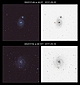 Dwie supernowe , dwie galaktyki - klasyczne, pokazowe obiekty ze słynnego Katalogu Messiera. Tego dawno nie było, by w tak krótkim czasie pojawiły się wybuchające gwiazdy w stosunkowo bliskich naszej Drodze Mlecznej obiektach galaktycznych. Wybuch supernowej jest jednym z najbardziej spektakularnych zjawisk przyrody, dramatyczny, trwający kilka tygodni akt zniszczenia daje nam okazję obserwacji pojedynczej gwiazdy w odległaj wyspie Wszechświata. SN2011dh została odkryta 1 czerwca 2011r. Badania dowiodły, że degradacji uległa pojedyncza gwiazda, zwana czerwonym olbrzymem. SN2011fe, odkryta 24 sierpnia 2011r. wybuchła jako układ podwójny, składający się z białego karła i czerwonego olbrzyma. Na negatywach fotografii obie supernowe zaznaczone zostały strzałkami. Parametry: Reflektor Newtona 250/1520 + N.D300, (w  ognisku głównym teleskopu). Górna para: exp. 4x180sek. , dolna para: exp.1x117sek. 7x180sek. ISO1600. 