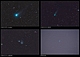 KOMETARNY PORANEK. Czwartego listopada tuż po północy wystąpiła potężna ulewa, po której nadeszło rozpogodzenie z przejrzystym, międzyniżowym powietrzem. Wykorzystałem więc to pogodowe okienko do fotograficznego utrwalenia czterech jasnych komet, które obecnie zdobią nasz poranny nieboskłon. Dla każdej z nich przewidziałem jedynie 4 naświetlania po 240 sekund by oszczędzić czas, choć ostatnia i tak została sfotografowana na jaśniejącym już niebie. Zdjęcia wykonałem z mojego małego obserwatorium, (teleskopy, montaż i stanowisko obserwacyjne własnego projektu i konstrukcji). Aparat podłączony został do reflektora Newtona 205/907. Astrograf przy kontroli prowadzenia wspomagany był Newtonem 250/1520 . Podmuchy wiatru negatywnie wpłynęły na jakość gwiazd, ale kometarna stawka była wysoka a kapryśna listopadowa pogoda nie daje dużego wyboru astrofotografom. Przy obróbce materiału dodatkowo skorygowałem ruch własny komet, by zamiast kresek gwiazd uzyskać ich pojedyncze obrazy. Zdjęcia przedstawiają: R1 Lovejoy, najjaśniejsza z całej czwórki którą odkrył 7 września tego roku astronom amator z Australii Terry Lovejoy. S1 ISON, to okrzyczana medialnie rzekoma kometa stulecia, choć obecnie jest słabsza od przewidywań. X1 LINEAR, bardzo ciekawy obiekt, końcem października przeszedł fazę wybuchu. Dla mnie jest miniaturą słynnej komety 17P/Holmes z 2007roku,(jej zdjęcia także w galerii). 2P/Encke, długo na nią czekałem, mimo że wizualnie jest trzecim moim obserwowanym powrotem tego historycznego obiektu (1994 i 2003r.), fotograficznie dopiero teraz ją dopadłem. Kultowa kometa, o najkrótszym znanym okresie obiegu wokół Słońca wynoszącym 3.3 roku, której obserwacje doprowadziły do wielu monumentalnych odkryć w astronomii kometarnej. Parametry: 2013.11.04.Reflektor Newtona 205/907 z korektorem komy MPCC + N.D300. ISO1600. 