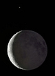 TANGO JUTRZENKI Z KSIĘŻYCEM II.Koniunkcja Księżyca i Wenus. Fotografia powstała z połączenia 5 oddzielnych zdjęć, dzięki czemu usunięto przepalenia obrazów wynikające z olbrzymich rozpiętości tonalnych, jakie wystąpiły w oświetleniu obu ciał niebieskich. Wenus, planeta wielkości Ziemi widoczna jest tutaj w postaci małego sierpa odległego o 73 miliony kilometrów. Do Srebrnego Globu, którego średnica wynosi 3476 kilometrów dzielił nas dystans 361 tysięcy kilometrów. Takie małe zestawienie wielkości odległych światów naszego nieba :) Parametry: 2014.02.26. 05:15 - 05:36CSE. Reflektor Newtona 205/907 z korektorem komy MPCC + N.D300, w ognisku głównym teleskopu. Exp.10sek.ISO800 - dla światła popielatego, exp.1/60sek.ISO200 - dla Wenus, exp.1/3 i 1/6sek.ISO200 - dla jasnej części Księżyca, exp.5sek.ISO320 - dla gwiazd. Konfiguracja obu ciał niebieskich kalibrowana jest na 05:33CSE. 